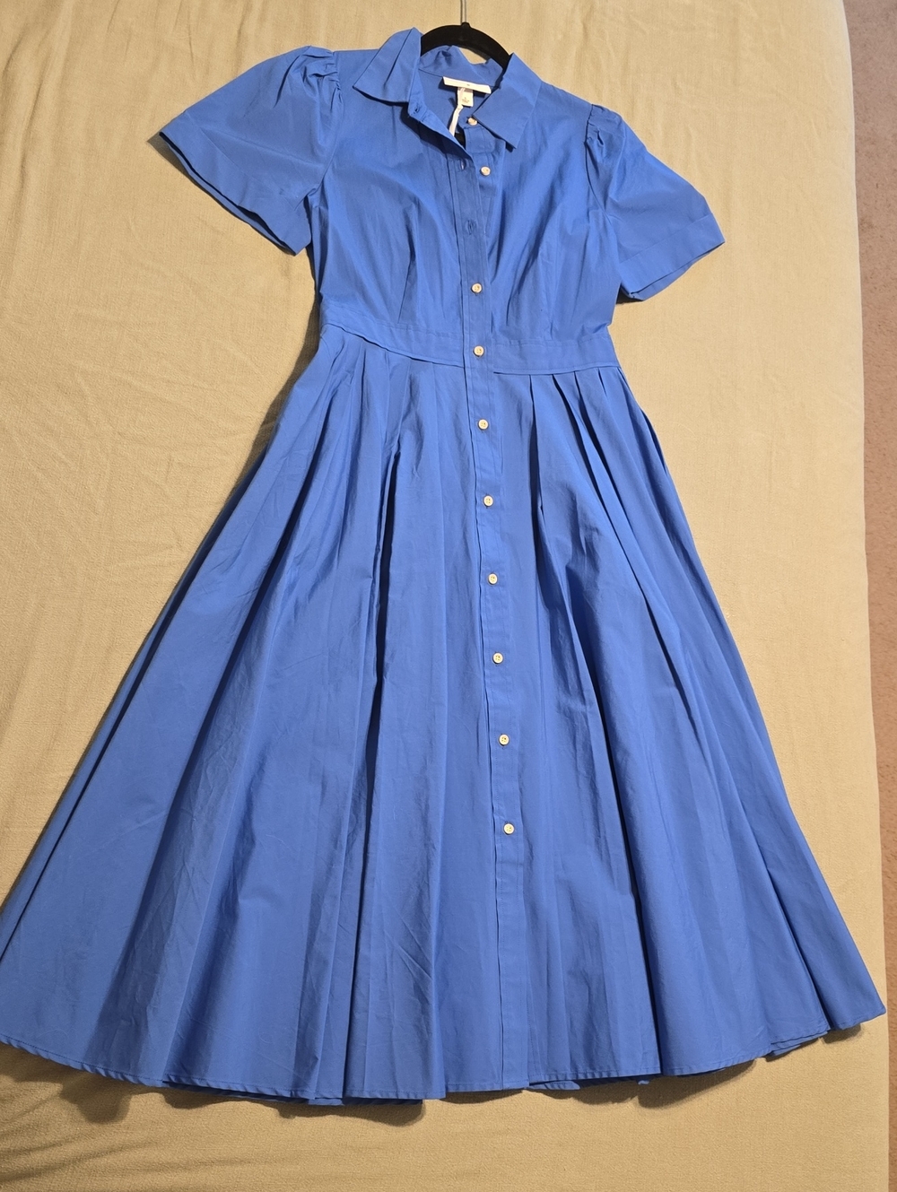 Blue Button-Front Collared Dress